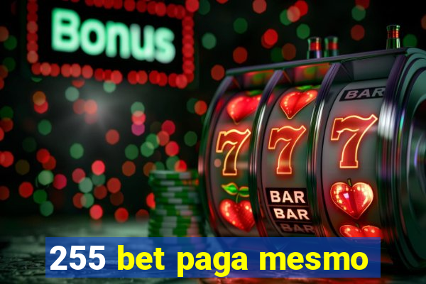 255 bet paga mesmo